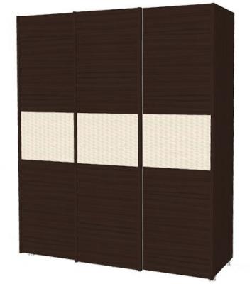 Шкаф-купе 3-х дверный КП-231/КП232-5