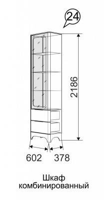 Шкаф комбинированный 24 Танго-1