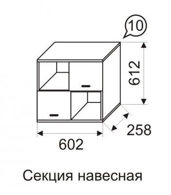 Секция навесная Принцесса 10-1