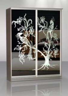 Шкаф-купе Концепт-3