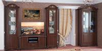 Гостиная Да Винчи - 1 (орех)