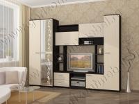 Стенка Флора венге/дуб