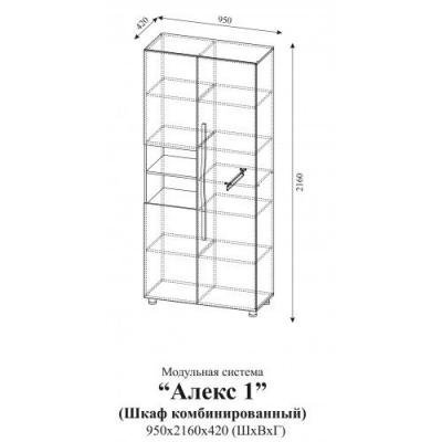 Шкаф комбинированный Алекс 1 (Клен/Титан)